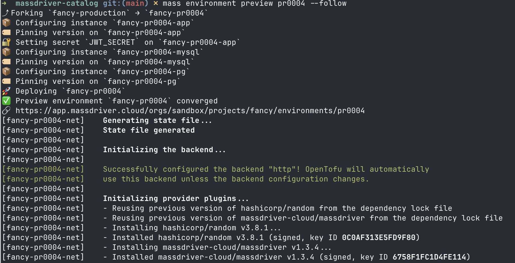 Running mass environment preview with --follow